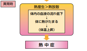 熱中症　体温調節2